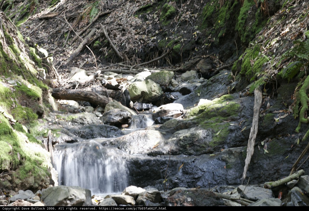 Serene Waters in the Wilderness