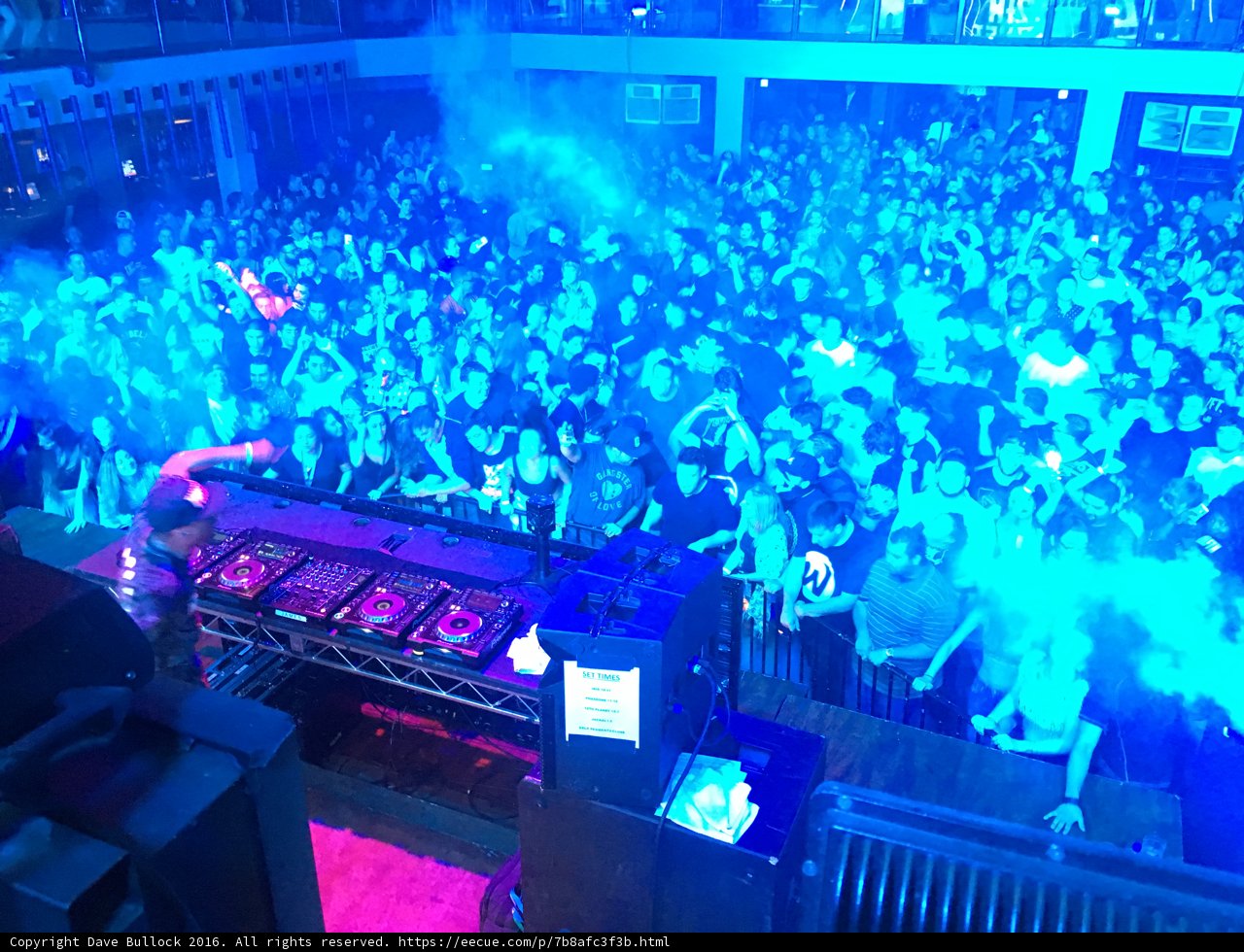 Blue-Lit Nightclub Crowd Gets Pumped