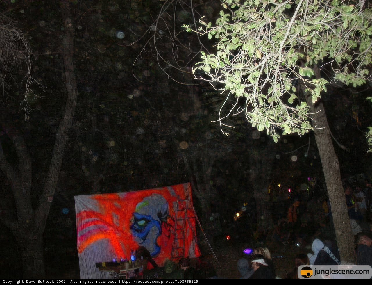 Nighttime Gathering under the Grove