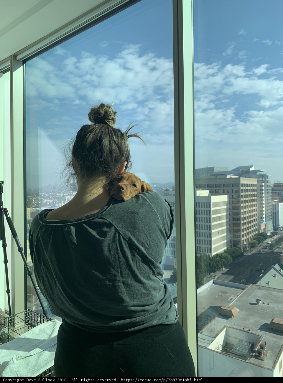 Woman and Her Canine Companion Enjoy the View from a High-Rise Balcony in Downtown LA