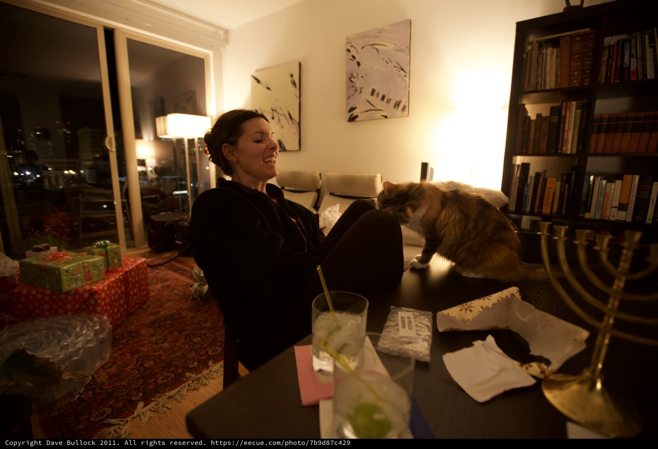 Hanukkah Evening with Cat and Cocktails