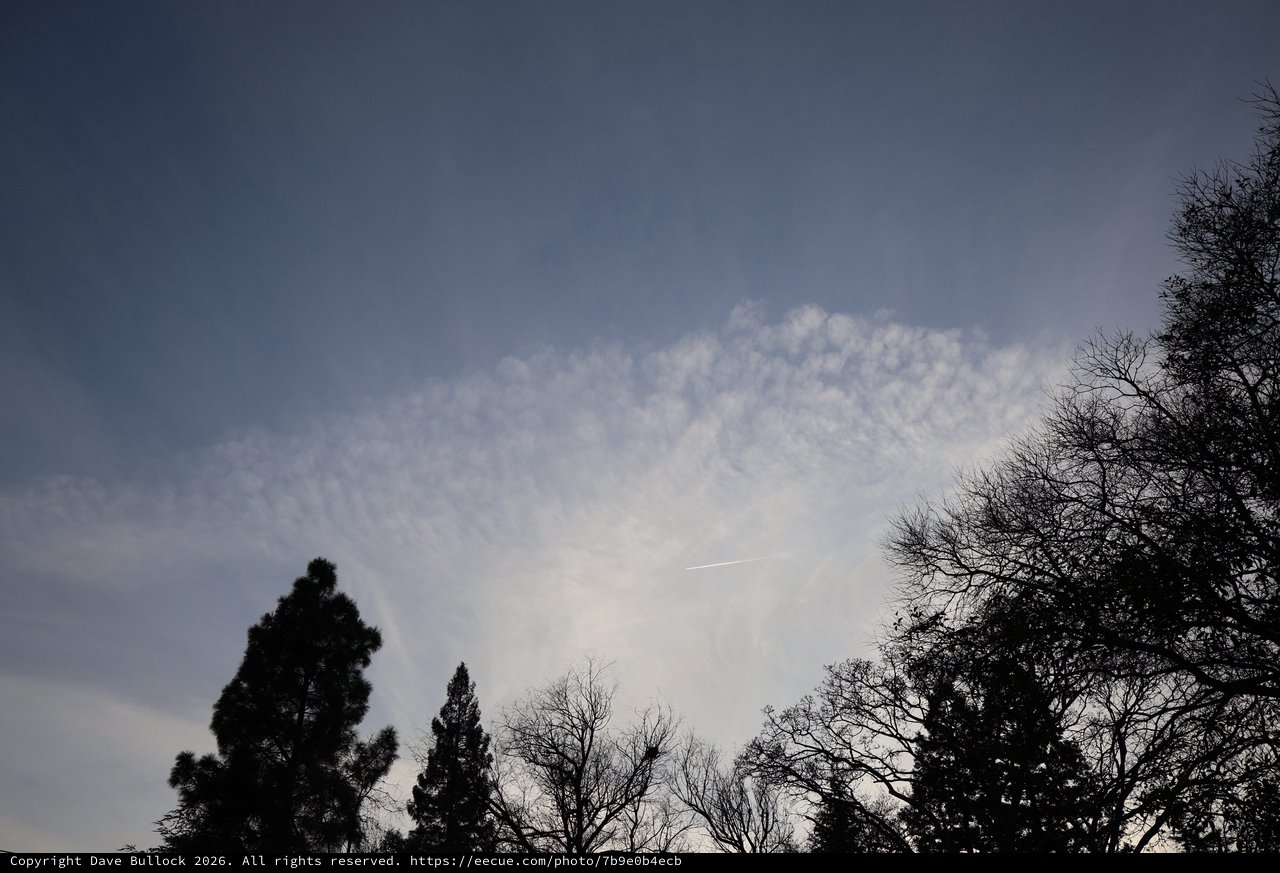 Evening Sky with Billowing Clouds Above Winter Trees