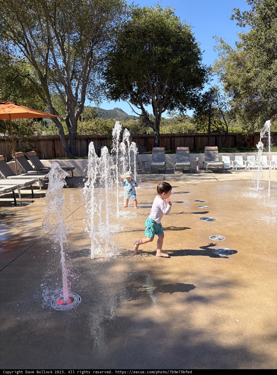 Splashing Summer Fun