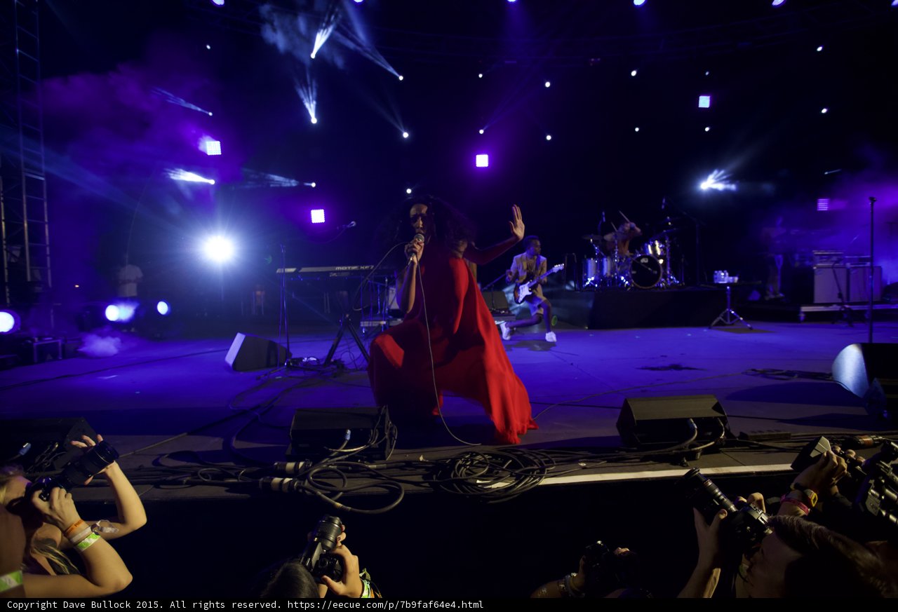 Solange Wide Stage Photo Pit Band Purple Blue