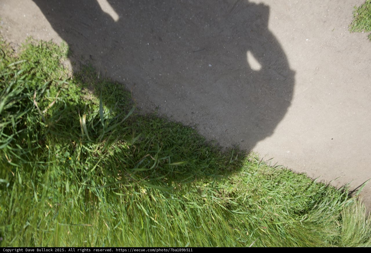 Shadow and Path