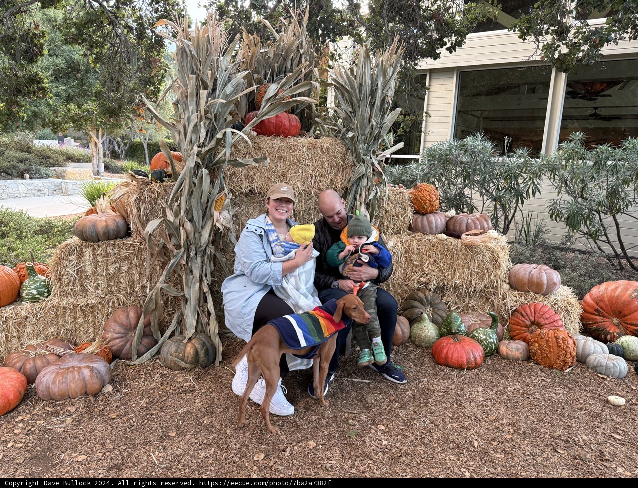 Autumn Moments in Carmel