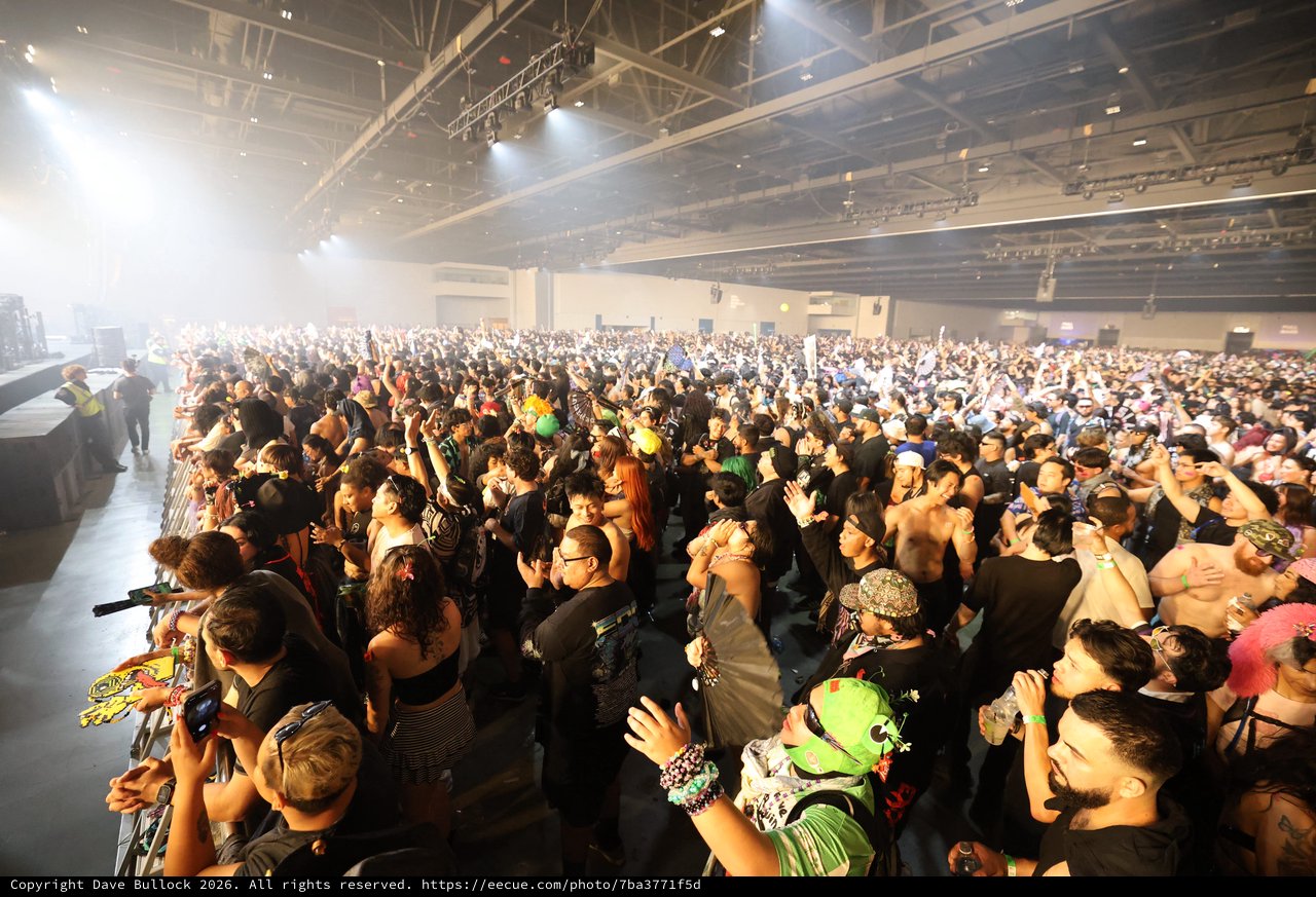 Massive Crowd Surges at Wobbleland 2026 Festival