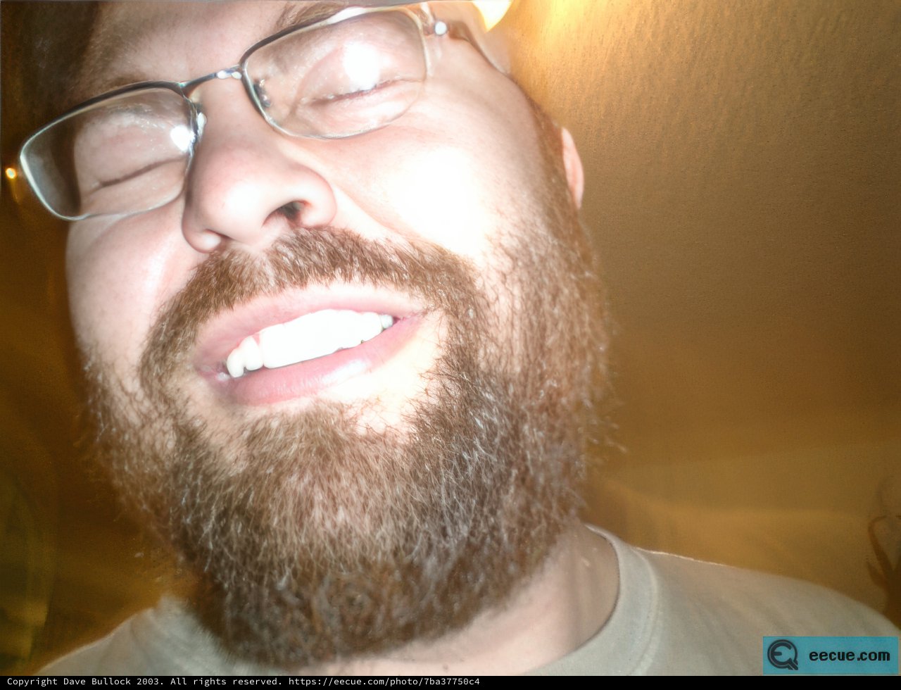 The Bearded Gentleman