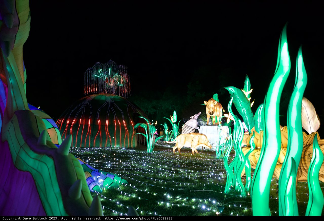 The Mesmerizing Nightscape of Glowfari Oakland Zoo, 2023