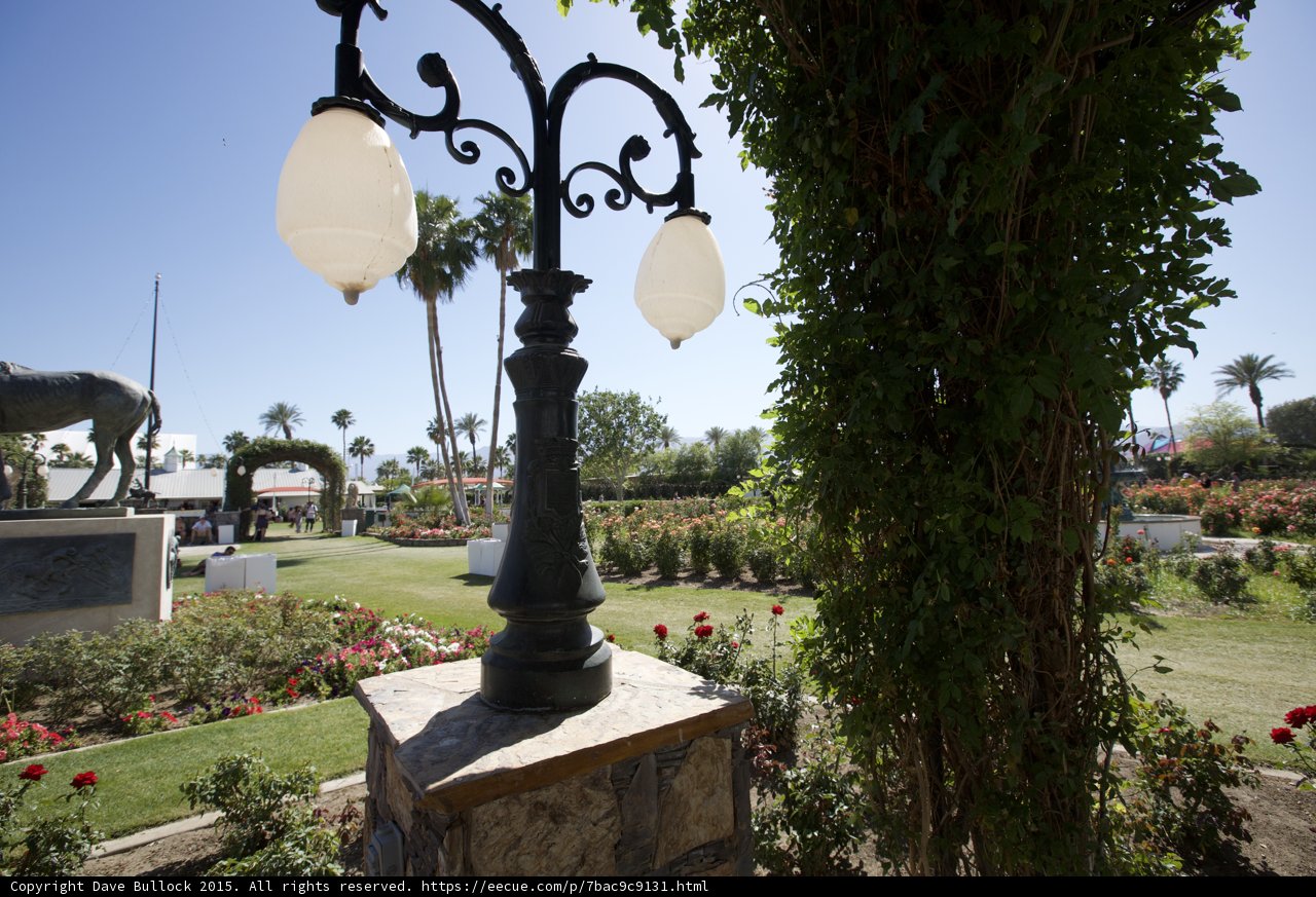 Serene Park Landscape
