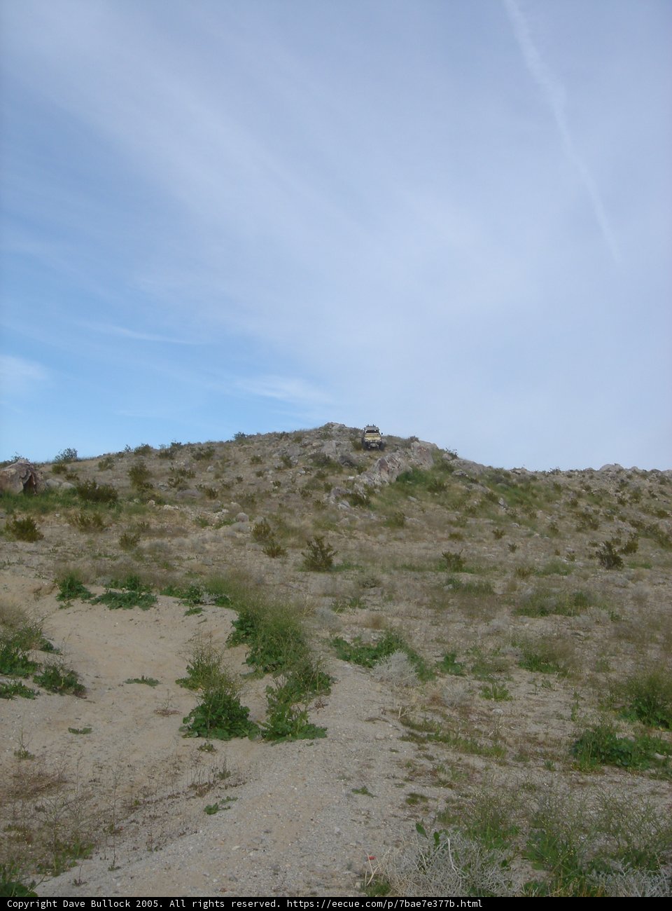 Rolling Hill Beauty
