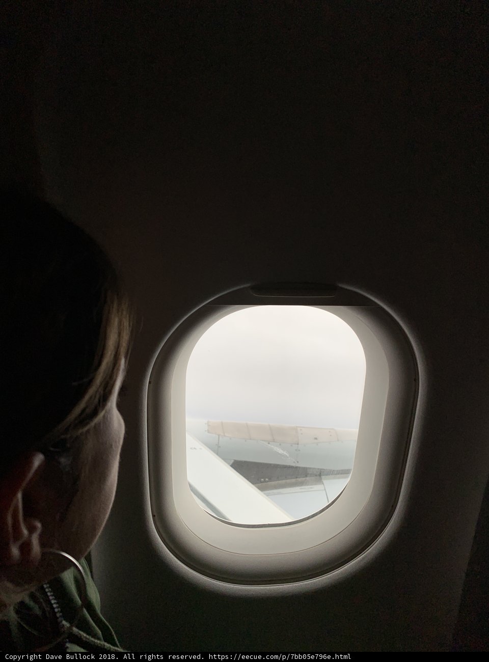 Window to the World