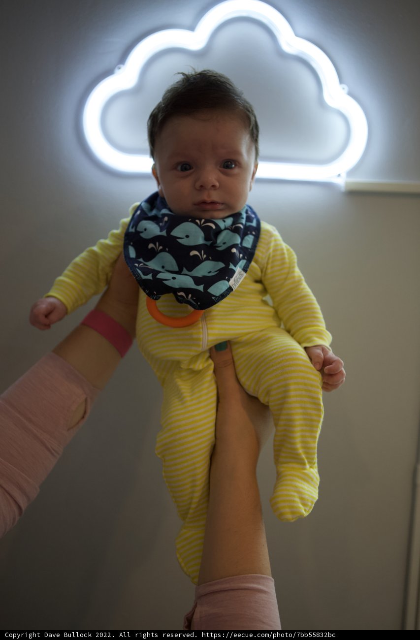 Neon Splash! Wesley's Second Month Chronicles