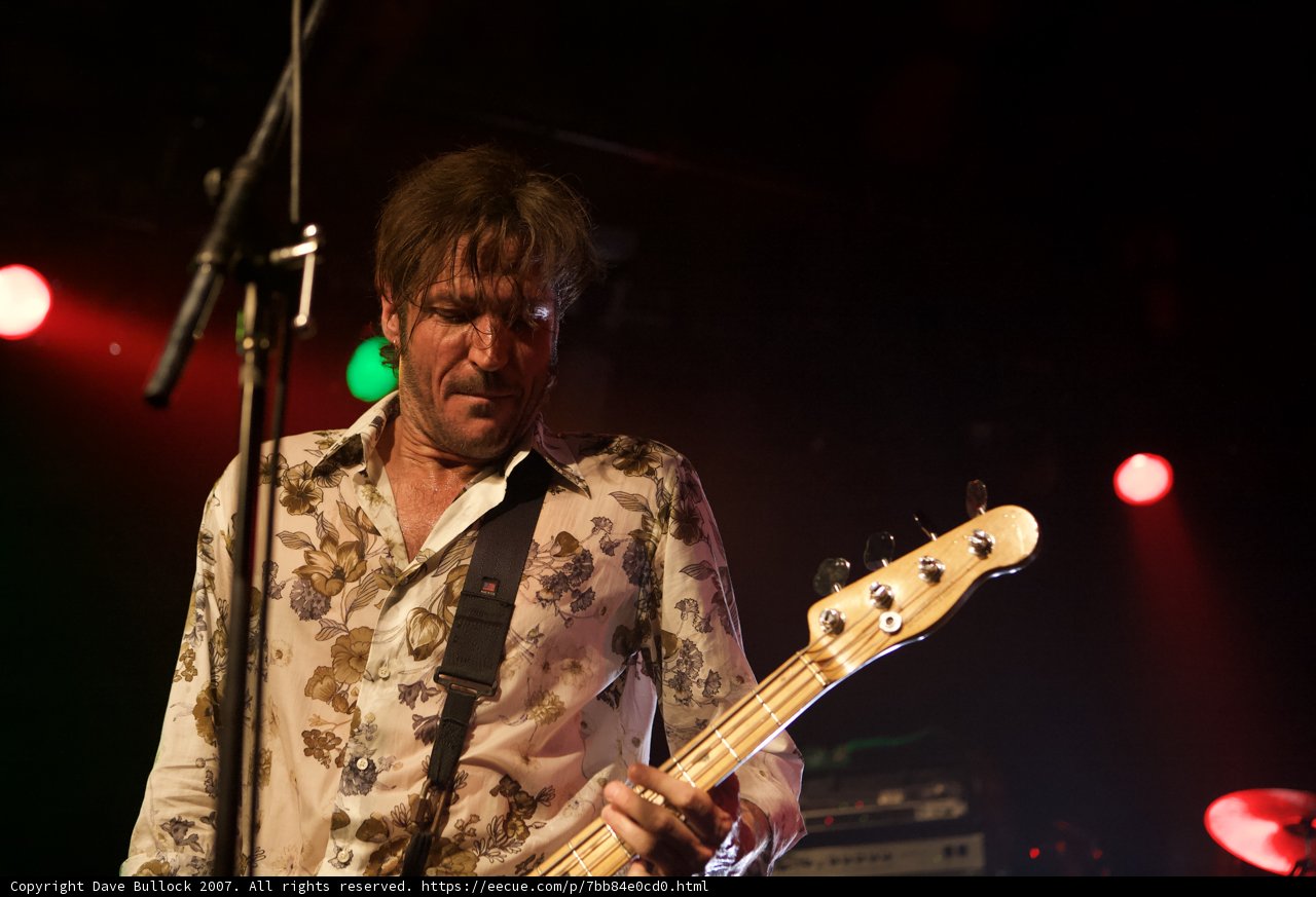 Bassist in Bloom