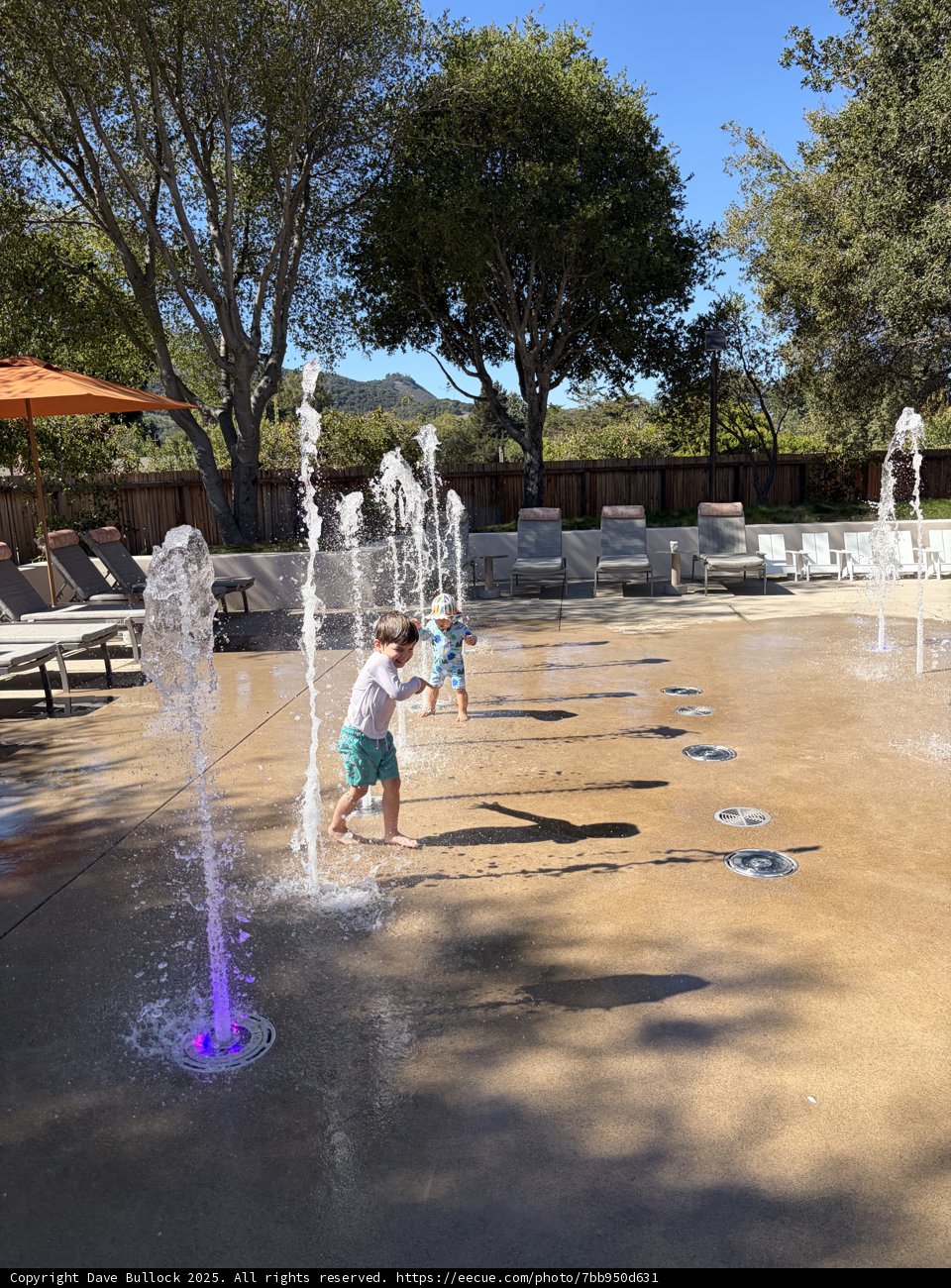 Splashing into Joy