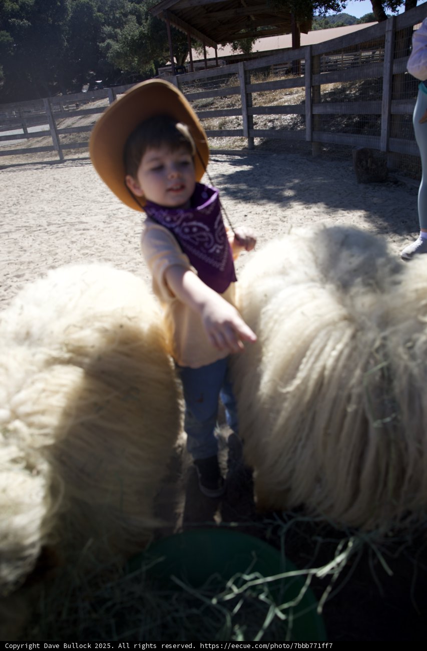 Little Rancher Adventure