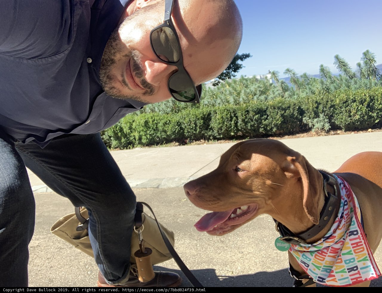 Man and his Hound Strike a Pose