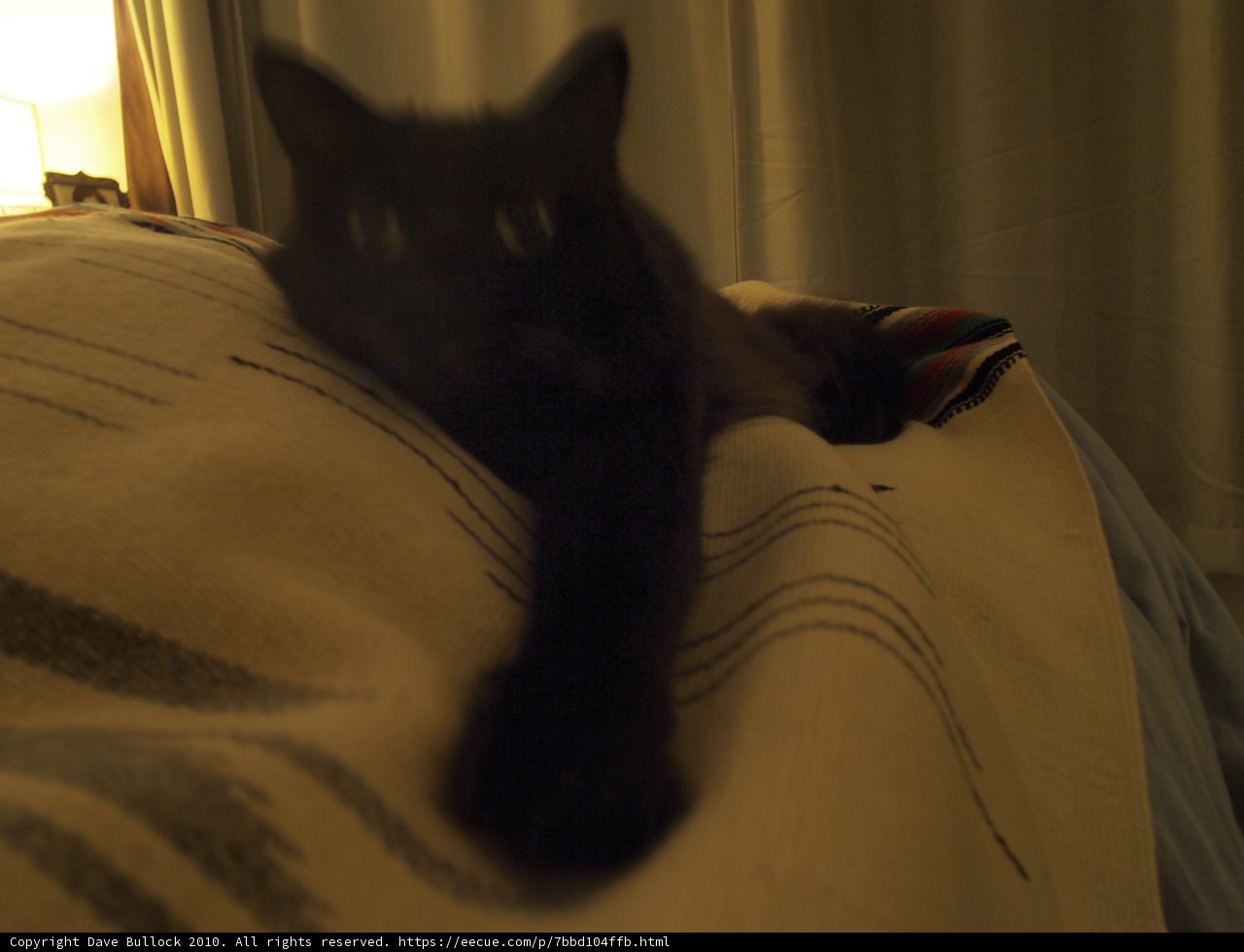 Resting in Comfort