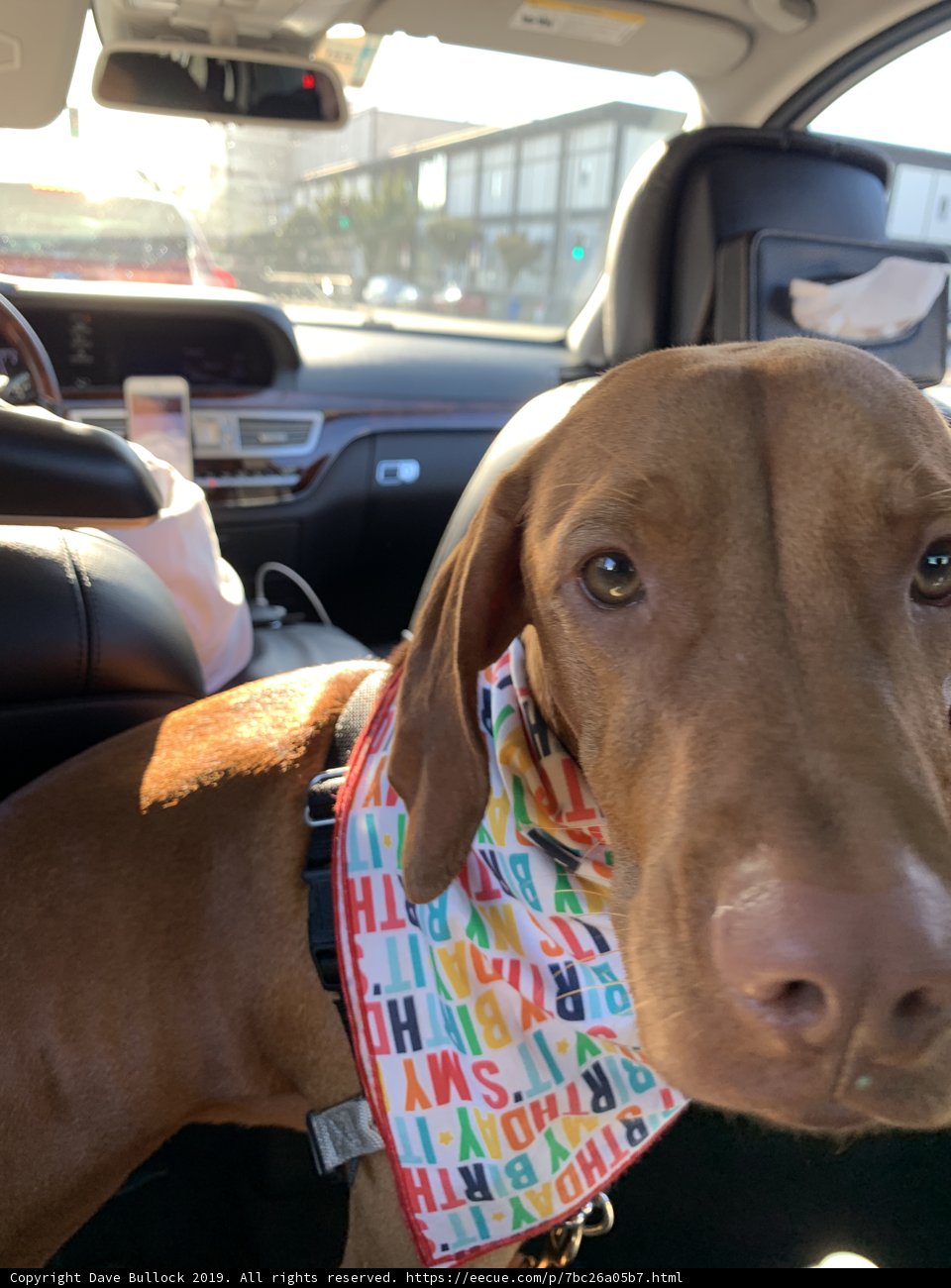 Roadtrippin' with my Best Friend