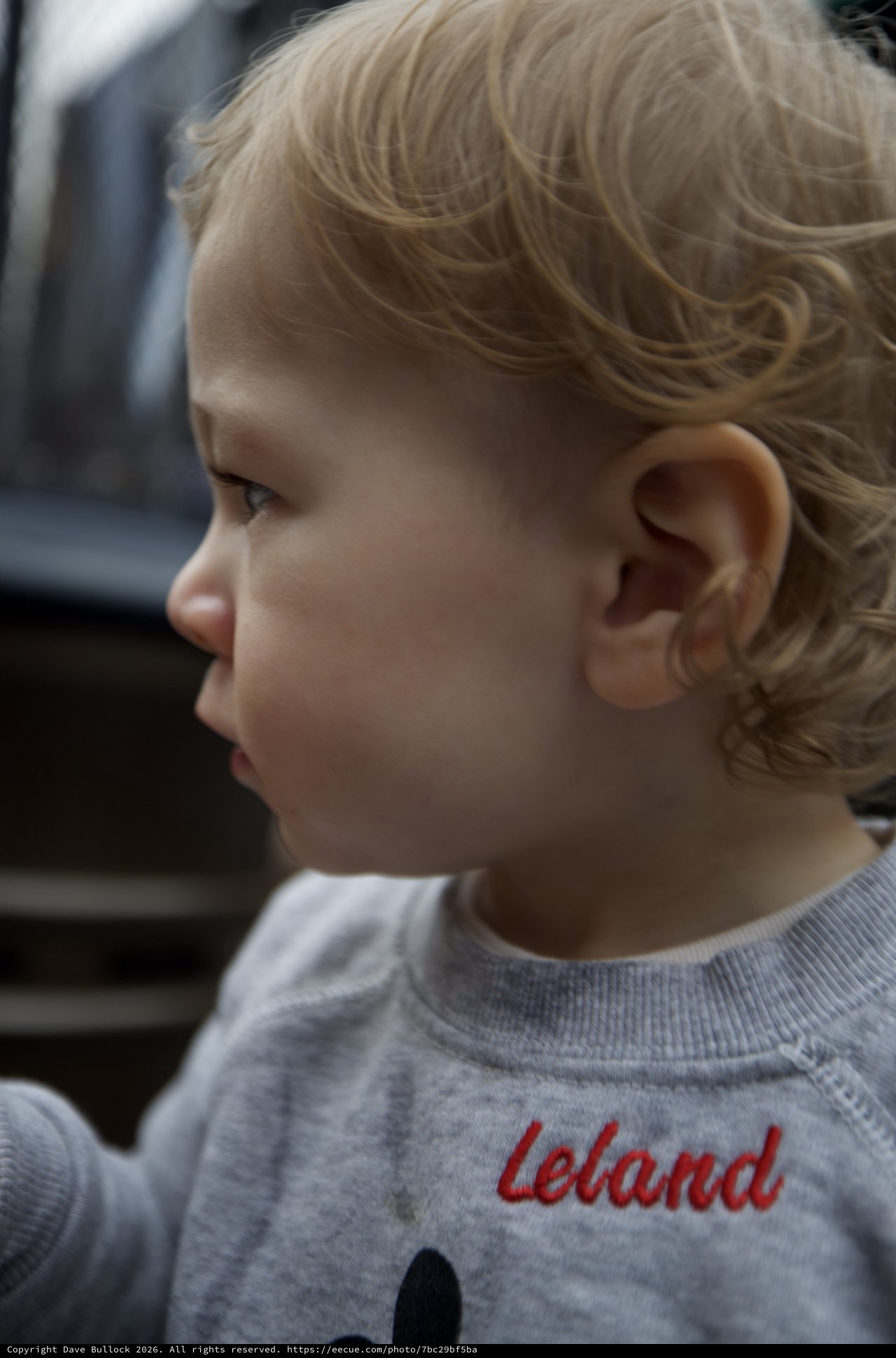 Young Child in Profile with Blonde Curls