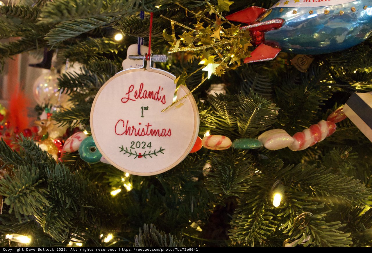 Leland's First Christmas Ornament on Tree 2024