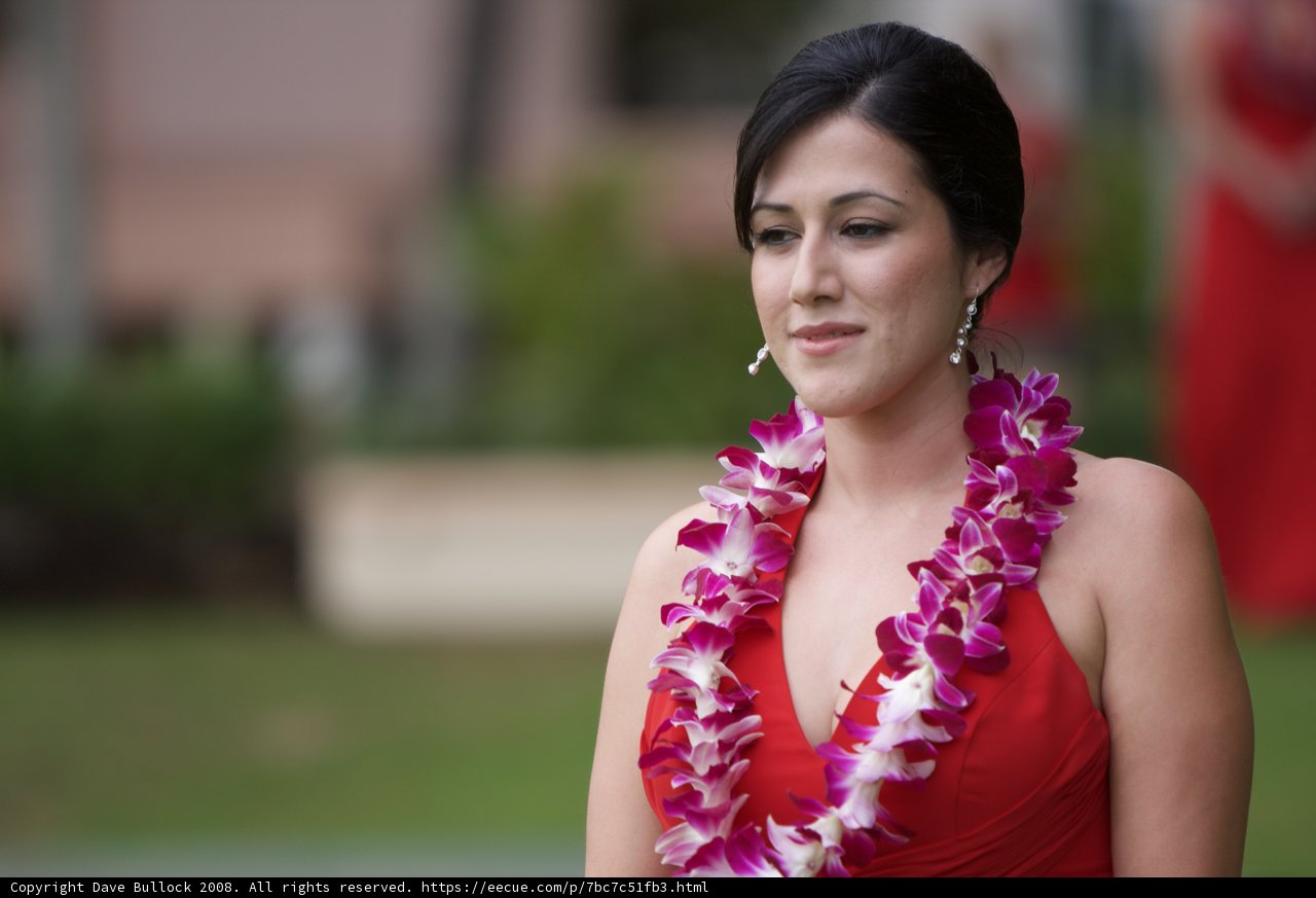 Hawaiian Bride with Lei Lei