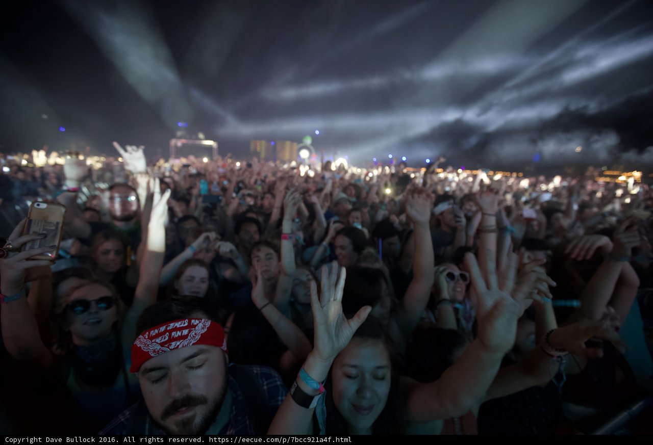 Music Festival Mayhem