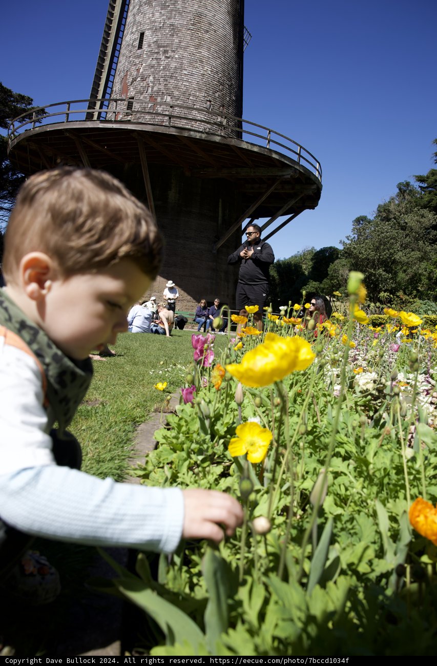 Discovering Nature's Beauty - Springtime in Golden Gate Park