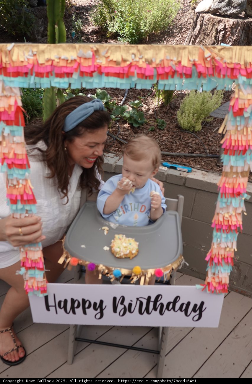 First Birthday Delights