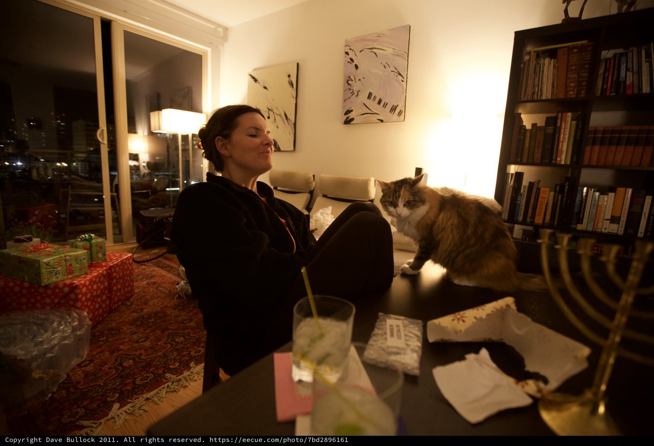 Cozy Hanukkah Evening with Cat and Menorah