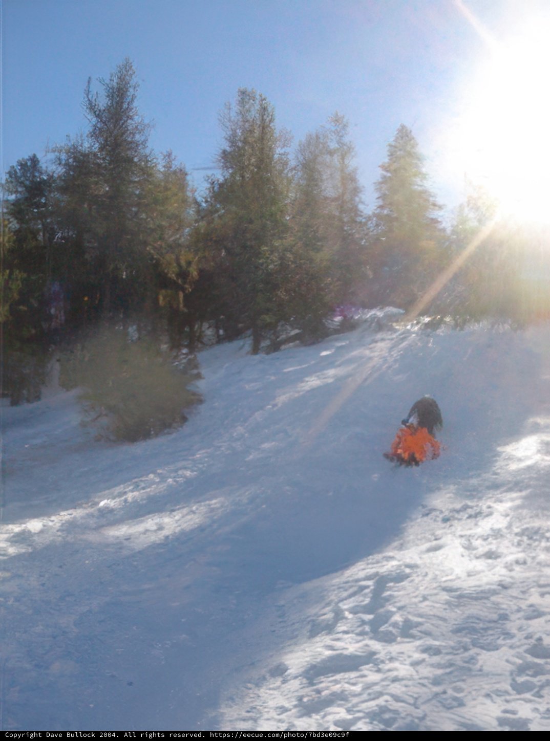 Wintertime Fun