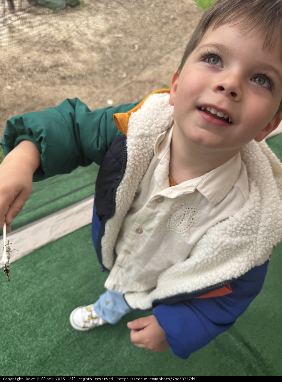Curious Eyes at Plaza Park
