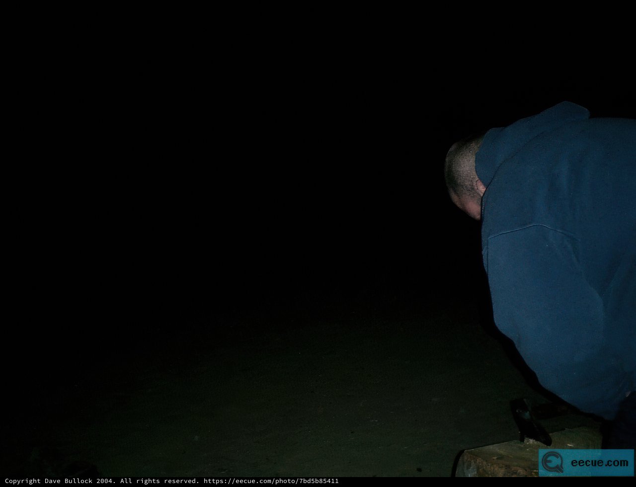 Night Sky on the Beach
