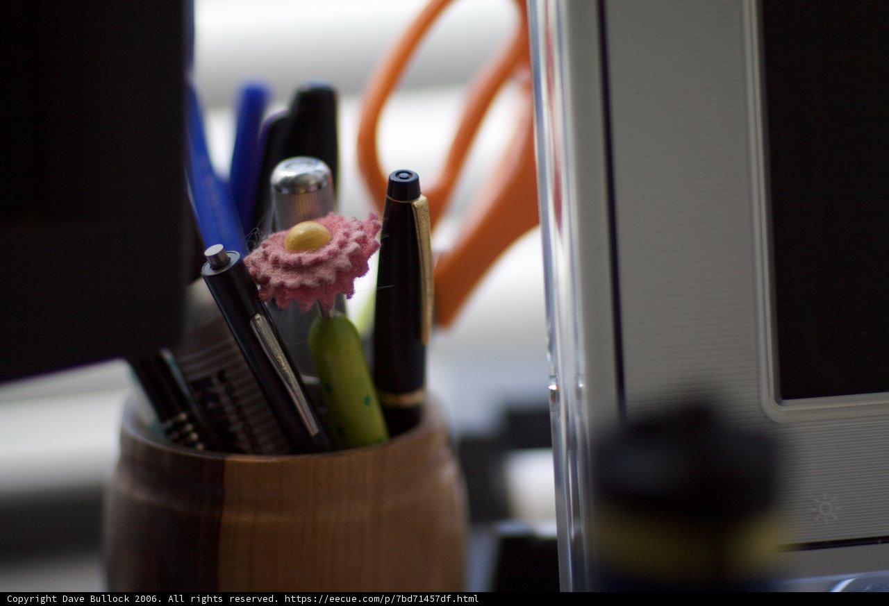 Screen in Bloom