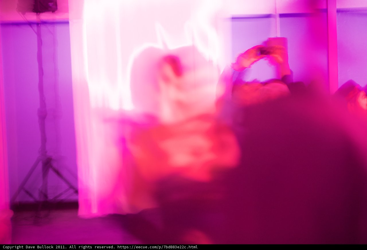 Capturing the Moment in Purple Light