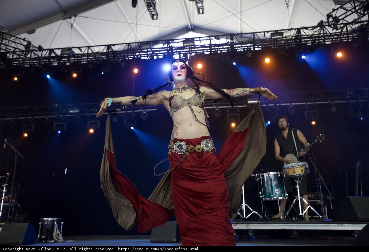 Spotlight on the Belly Dancer