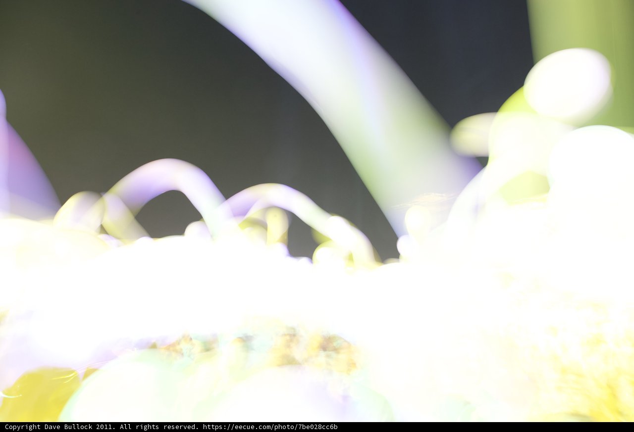 Blurred Bloom