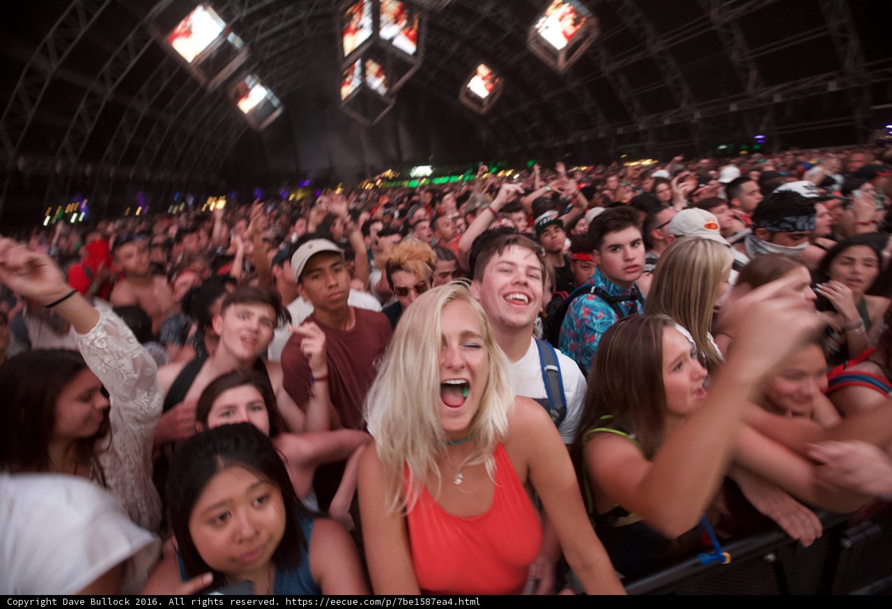 Laughter in the Crowd