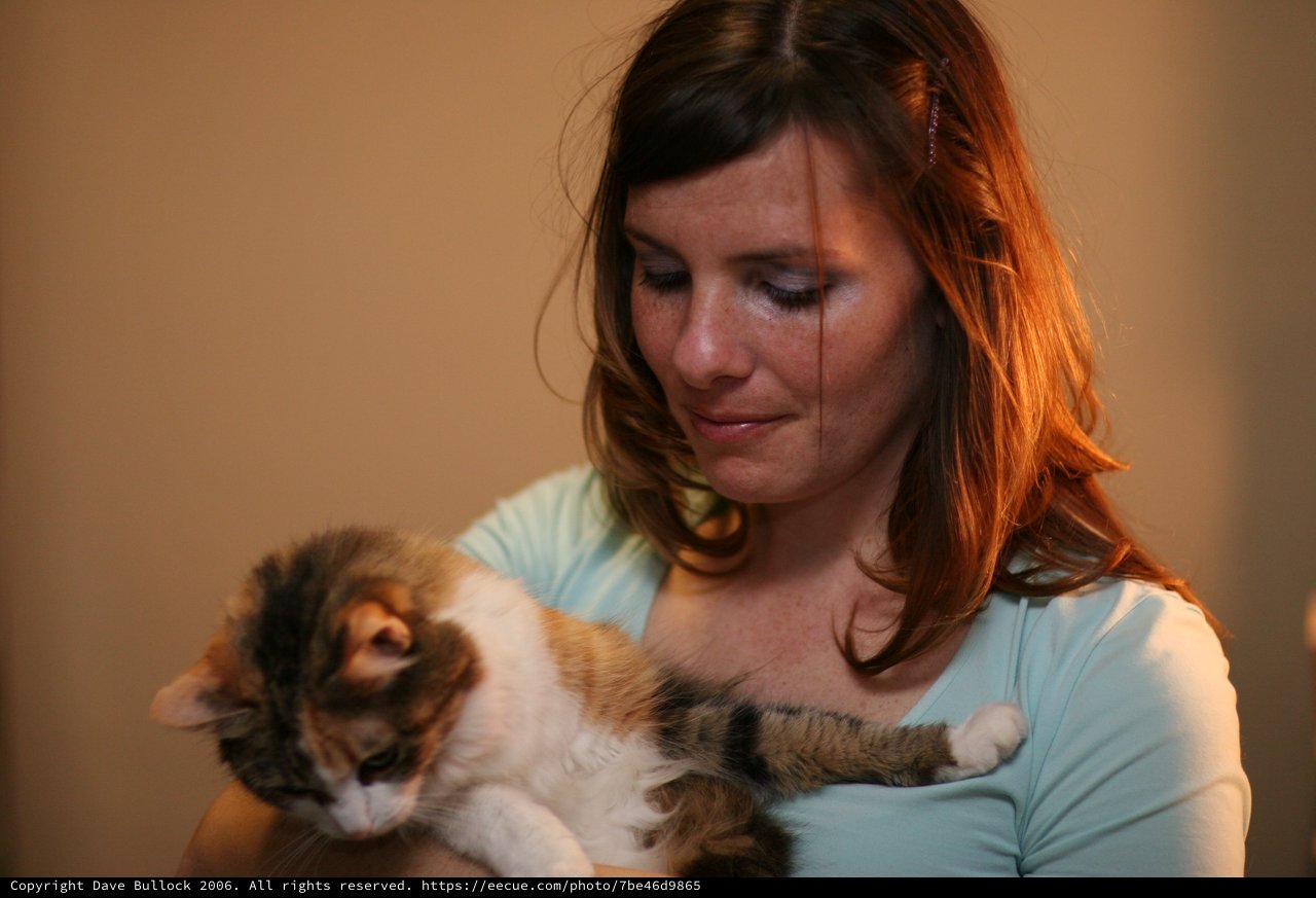 Woman Tenderly Holds Calico Cat in Warm Light