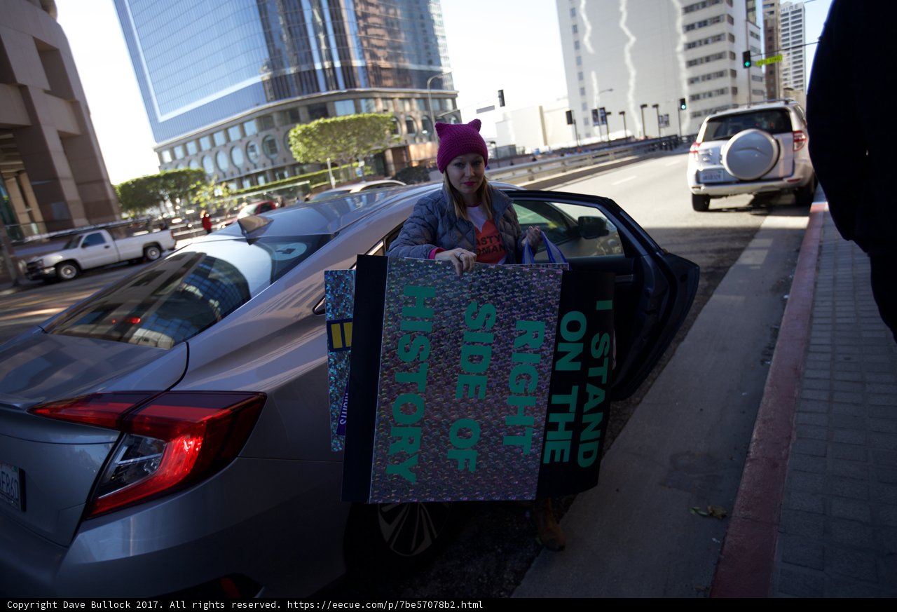 Woman Holds Sign at Women's March