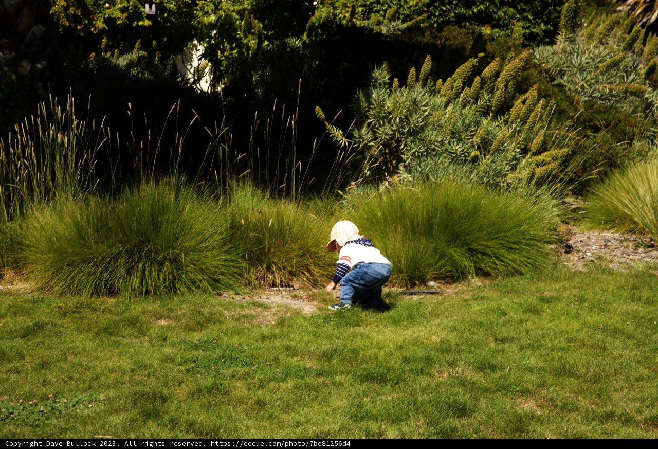 Enchanted Playtime in the Garden