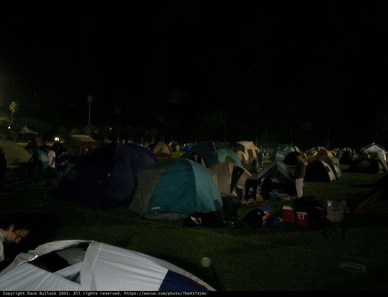 Nighttime Camping with Friends
