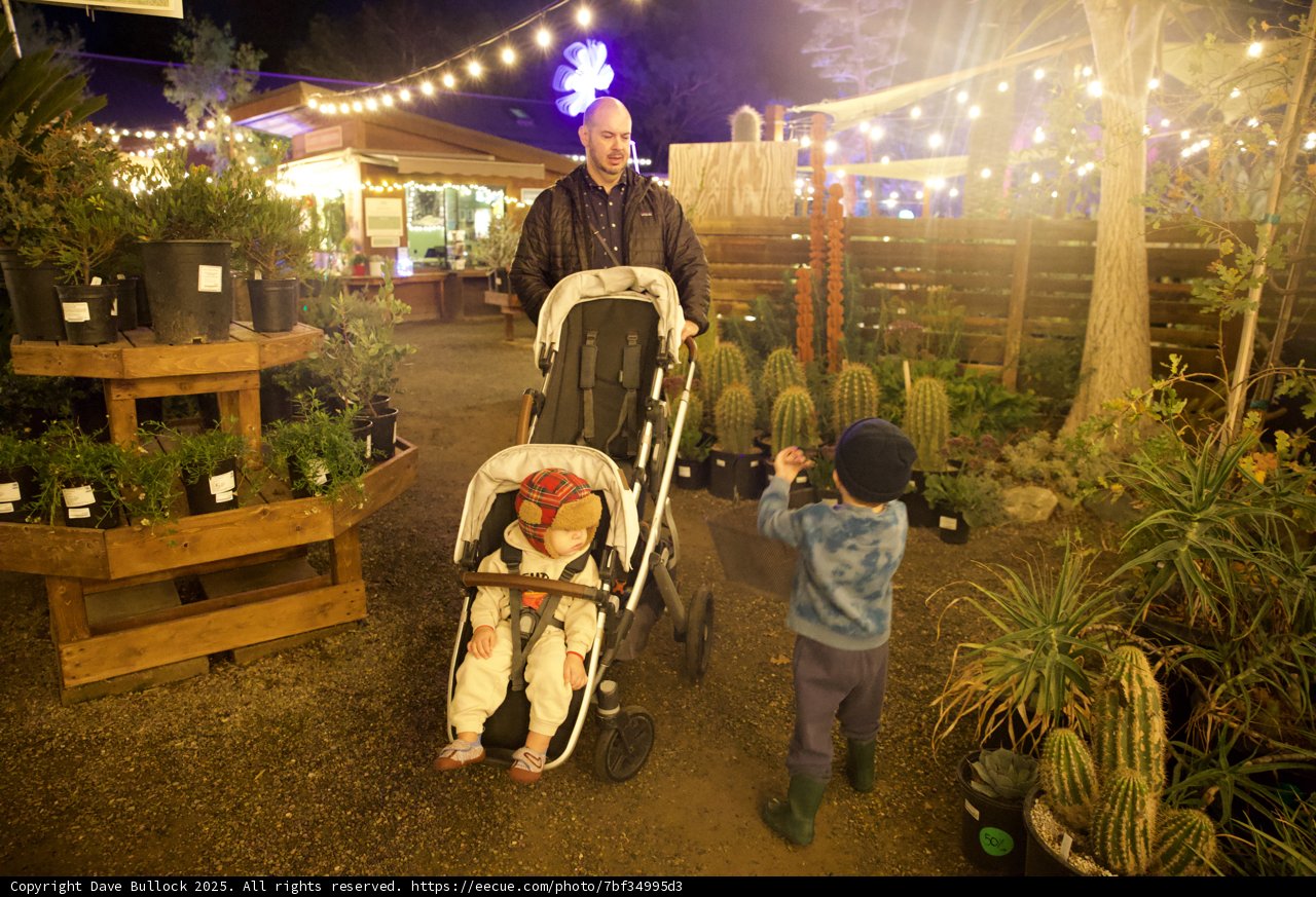 Evening Stroll in the Garden of D'Lights