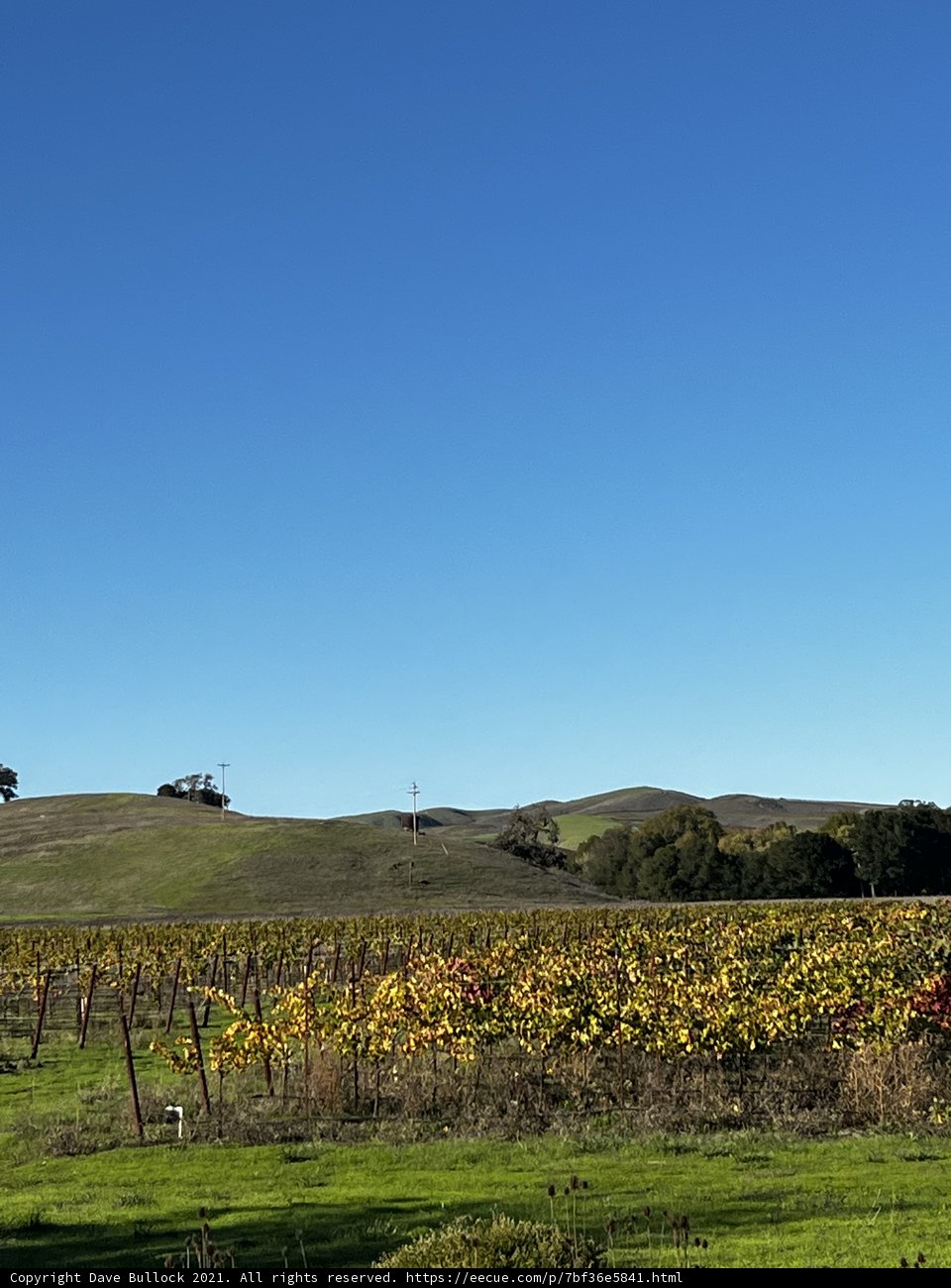 Napa Valley Vineyard with a Stunning View