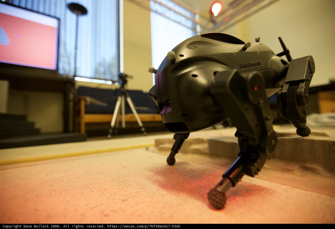 Robot Watches TV on Hardwood Floor