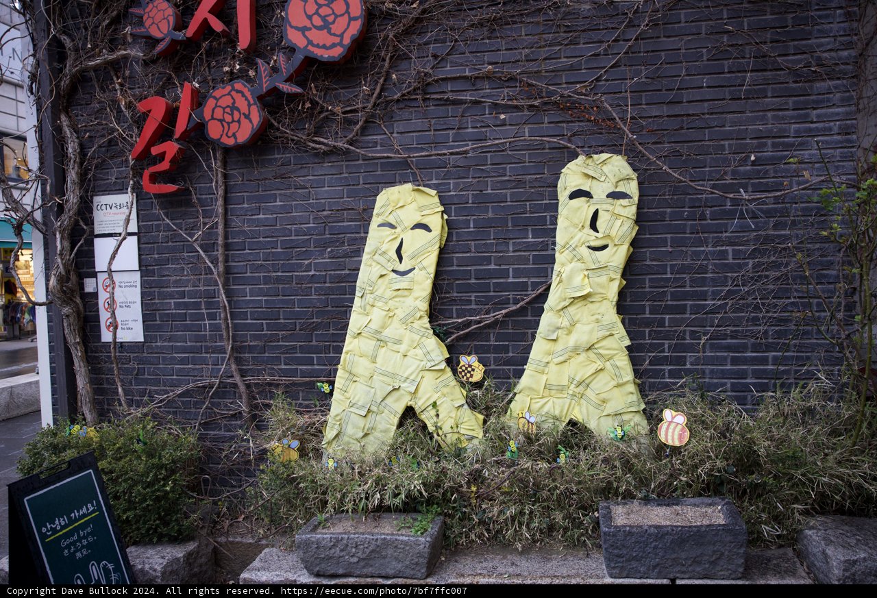 Artistic Whispers from Korea