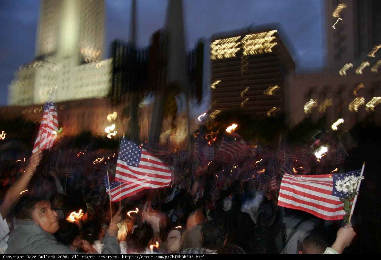 Patriotic Crowd in Metropolis