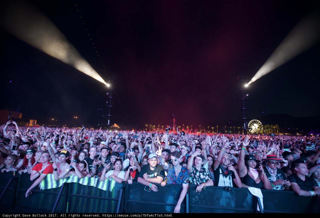 Electric Nights at Coachella