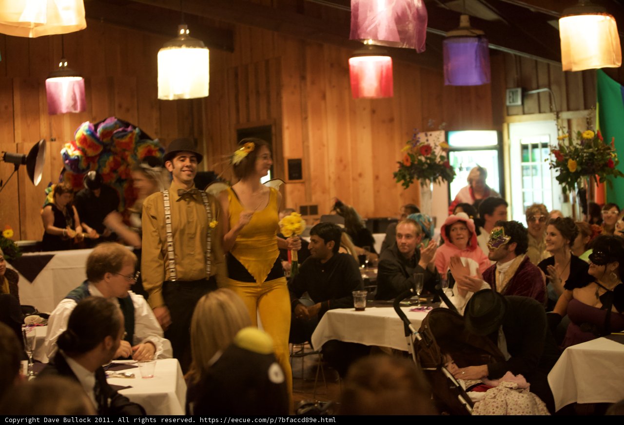 A Festive Evening at the Wedding Reception