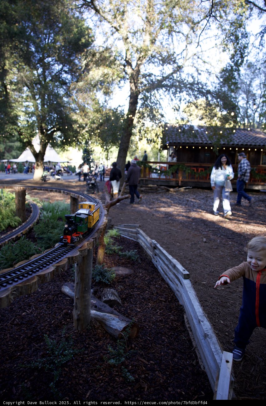 Whimsical Journey at Thistlewyck